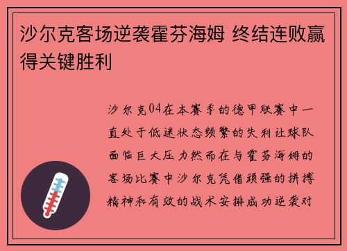 沙尔克客场逆袭霍芬海姆 终结连败赢得关键胜利