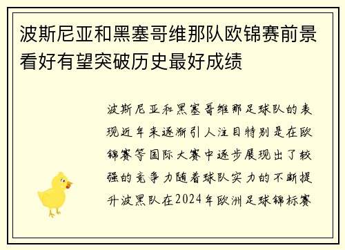 波斯尼亚和黑塞哥维那队欧锦赛前景看好有望突破历史最好成绩